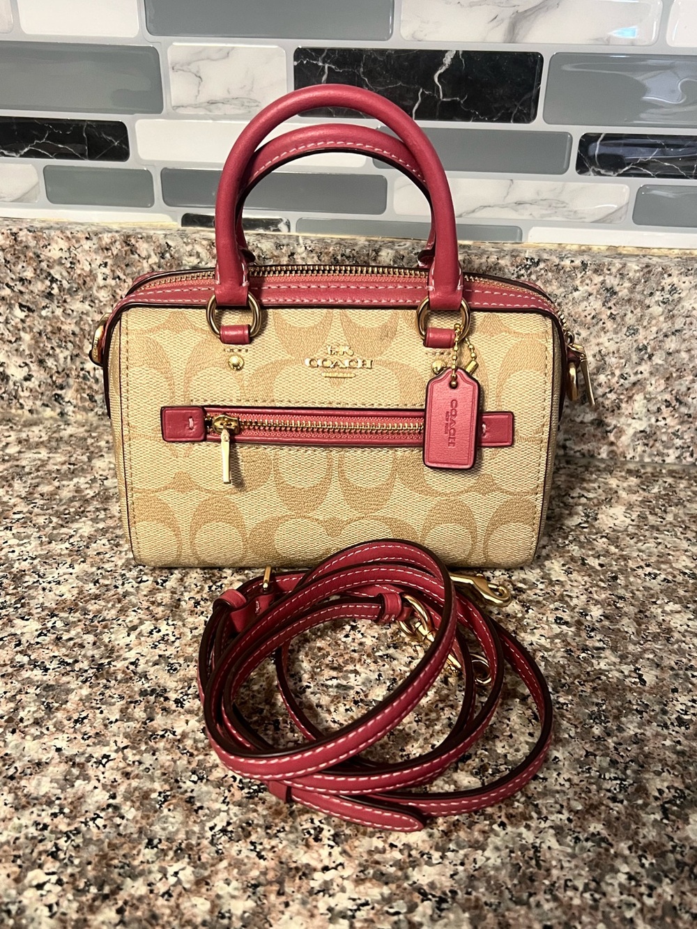 Coach mini rowan